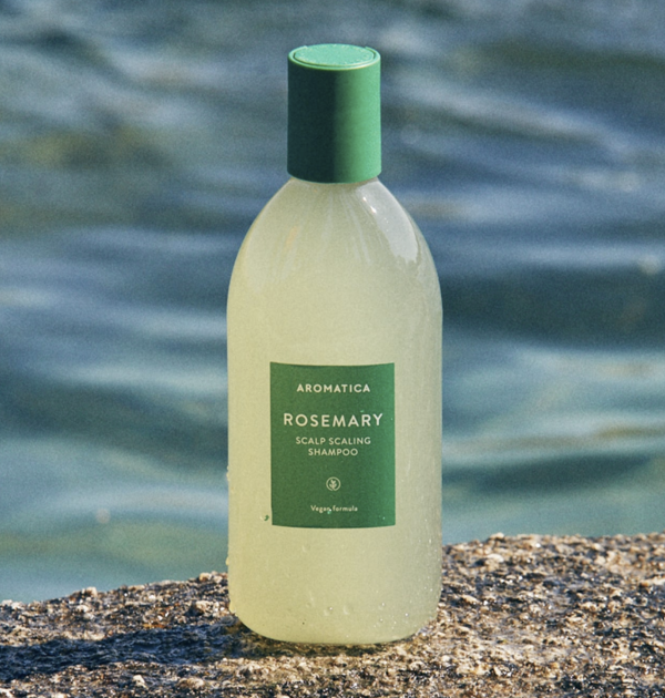 로즈마리 두피 스케일링 샴푸 400ml